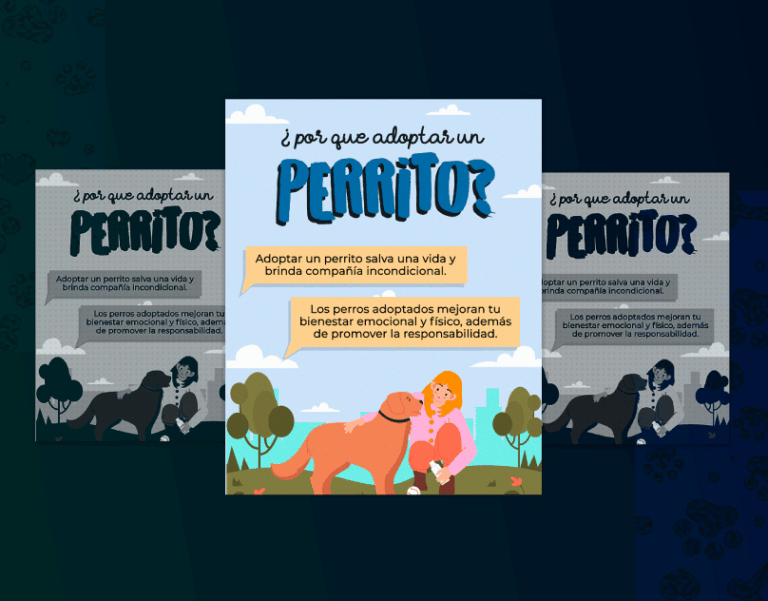 Diseño de Infoproductos